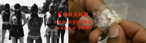 гидра Снежногорск